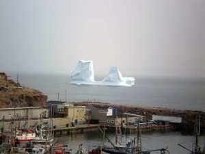 Icebergs & Whales | Bay de Verde