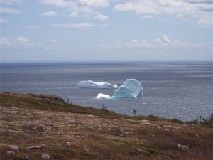 Icebergs & Whales | Bay de Verde